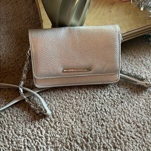 Steve Madden Sliver  Crossbody Bag